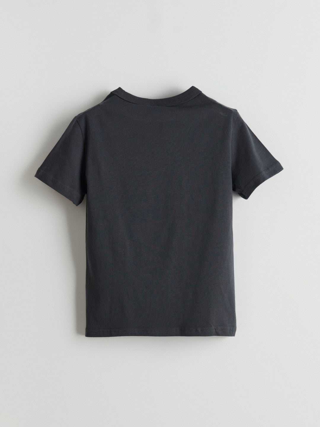 LCW Kids Crew Neck Boy T-Shirt