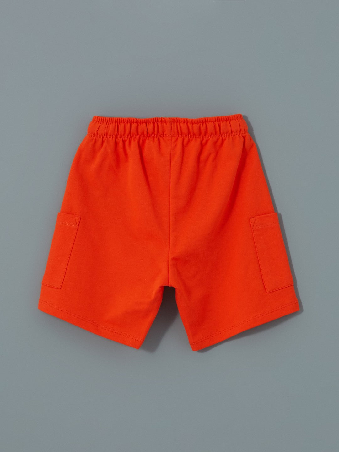 LCW Kids Crew Neck Printed Boy T-Shirt And Shorts 2-Pack