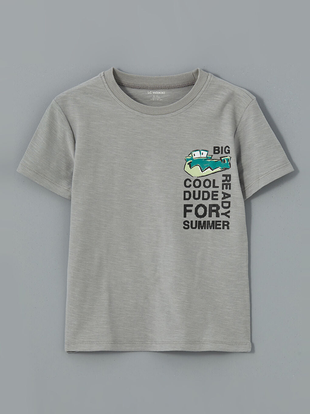 LCW Kids Ecru Crew Neck Printed Boys T-Shirt 2-Pack