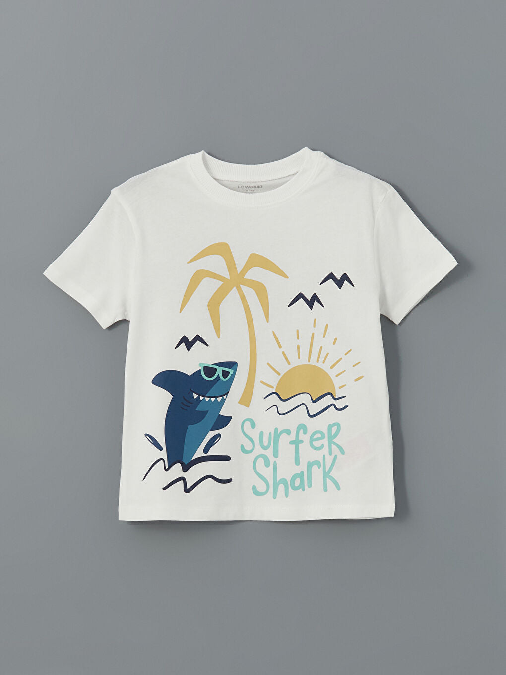 LCW Kids Ecru Crew Neck Printed Boys T-Shirt 3-Pack