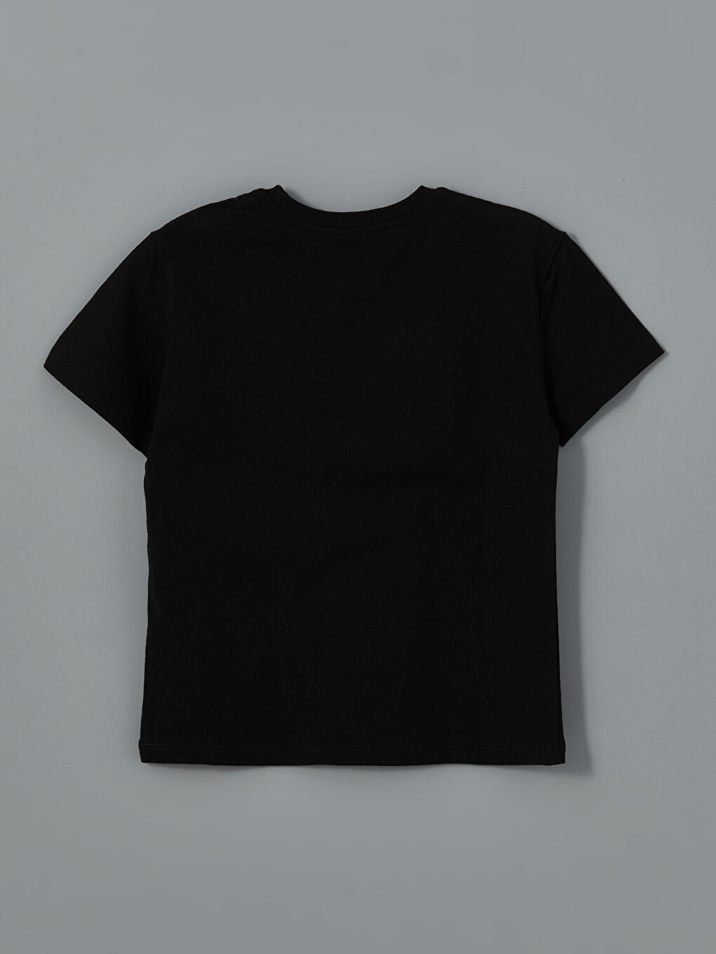 LCW Kids Black Crew Neck Printed Boy T-Shirt 2-Pack
