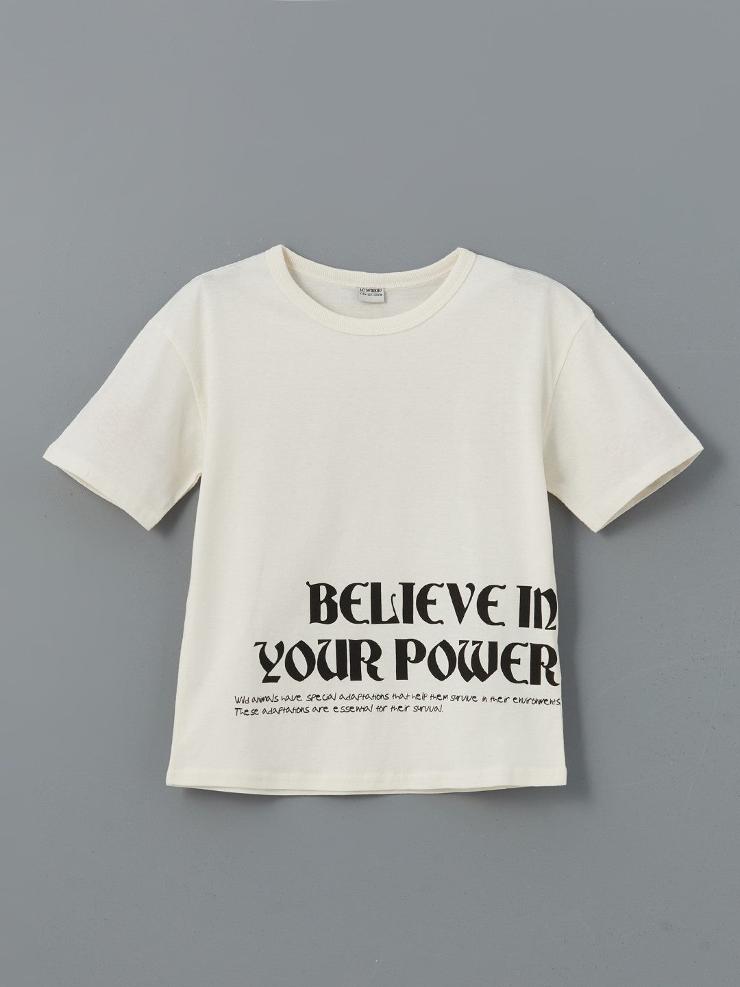 LCW Kids Crew Neck Boy T-Shirt