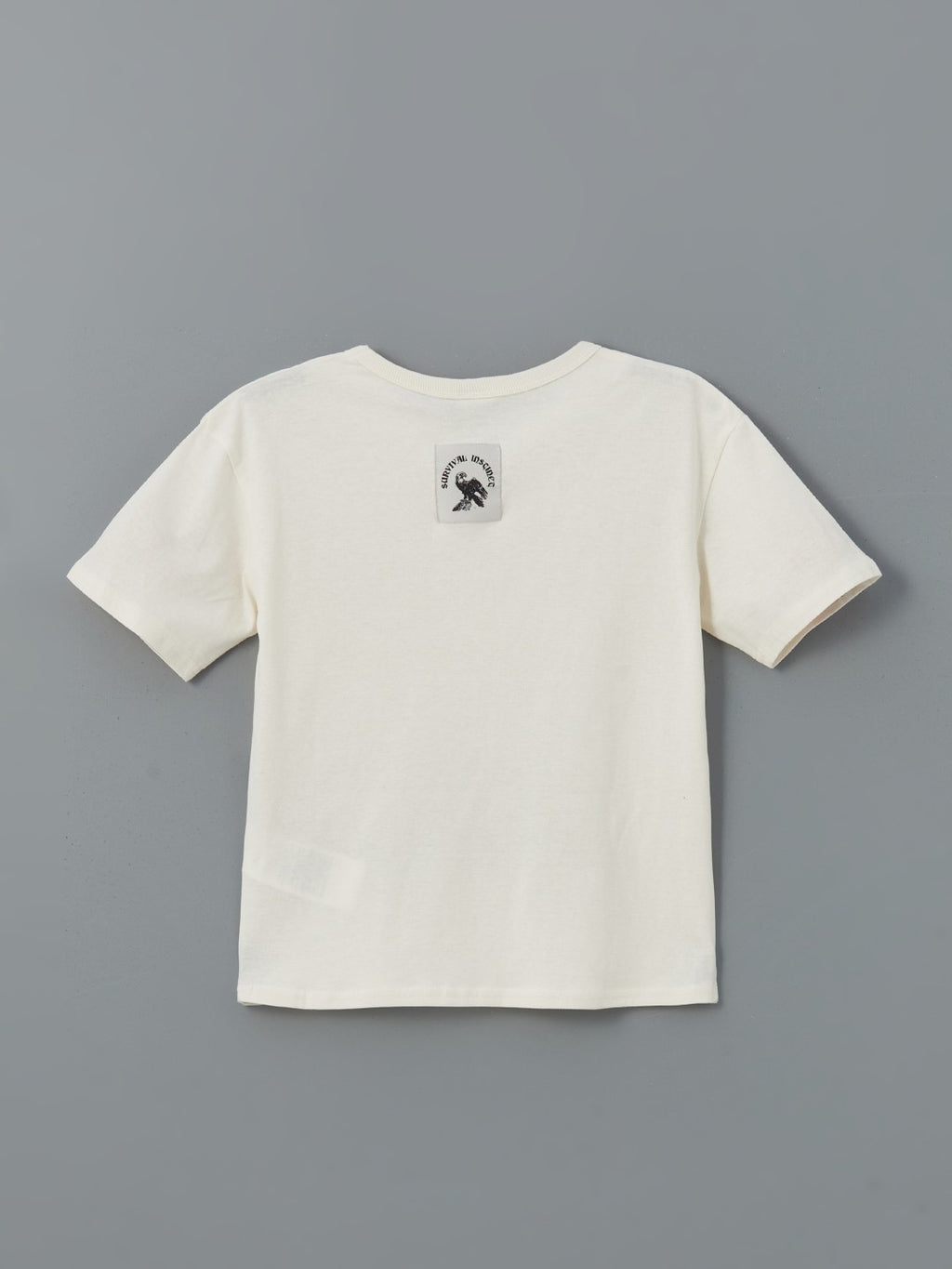 LCW Kids Crew Neck Boy T-Shirt