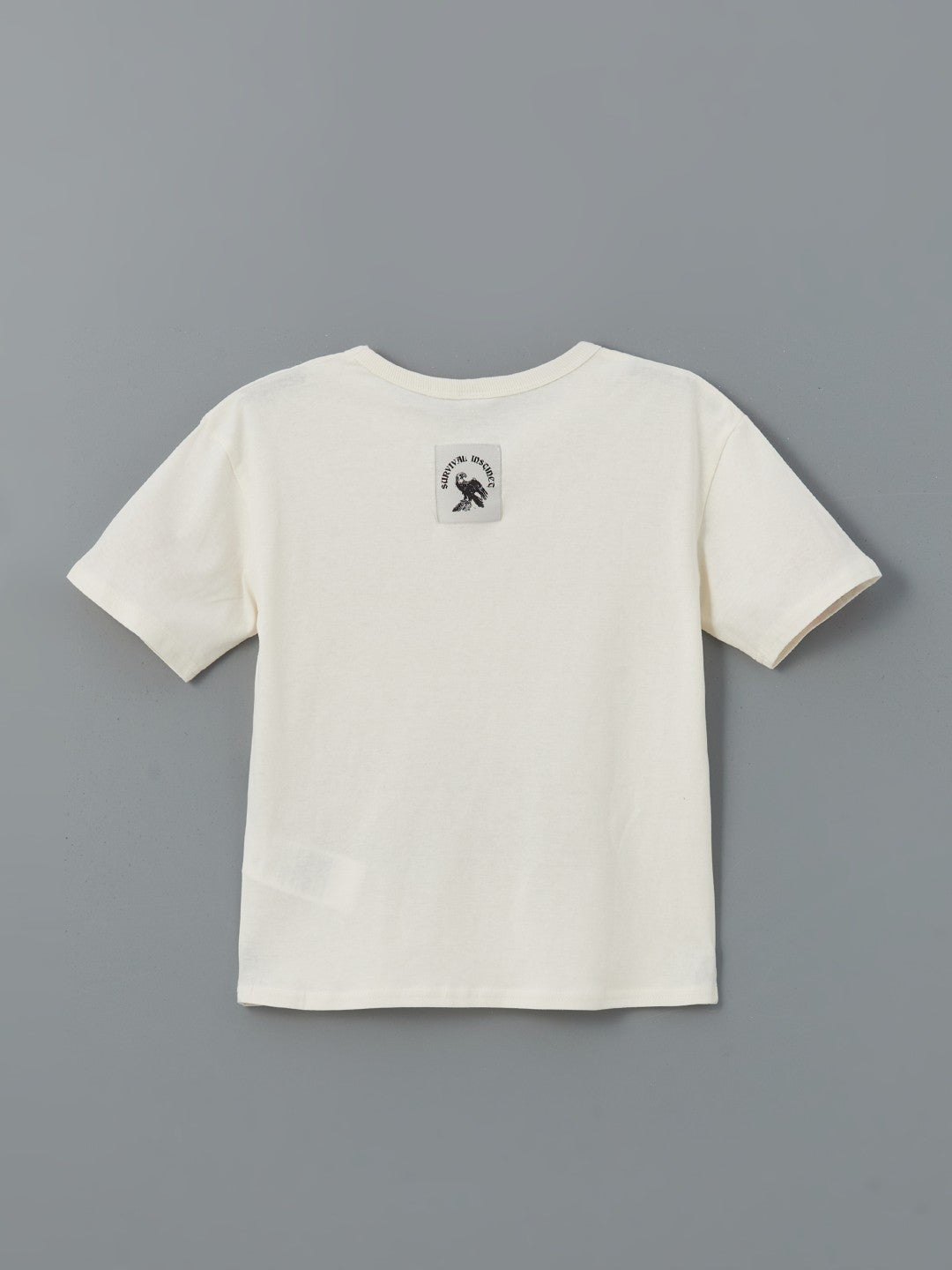 LCW Kids Crew Neck Boy T-Shirt