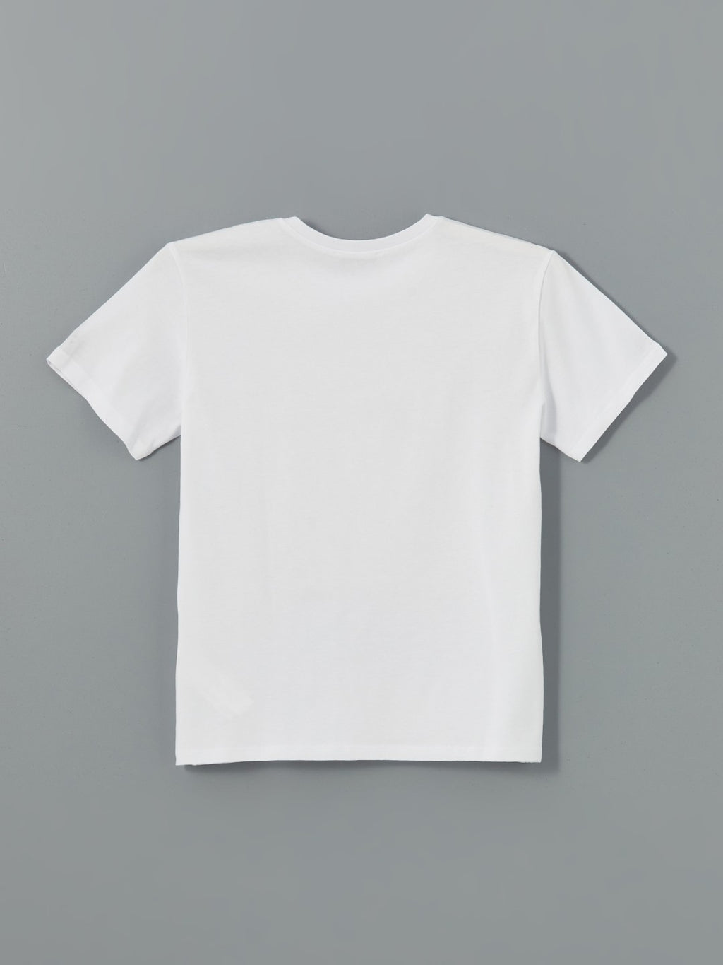 LCW Vision Crew Neck Printed Women T-Shirt