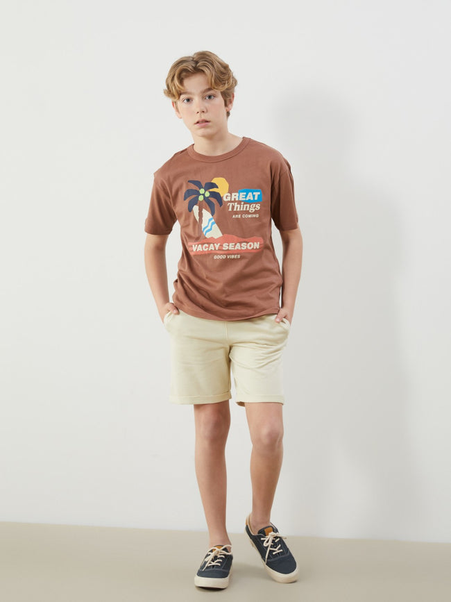 LCW Kids Crew Neck Boy T-Shirt And Shorts Main Image