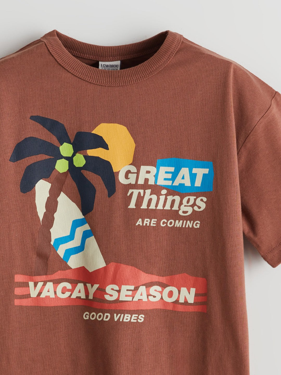 LCW Kids Crew Neck Boy T-Shirt And Shorts