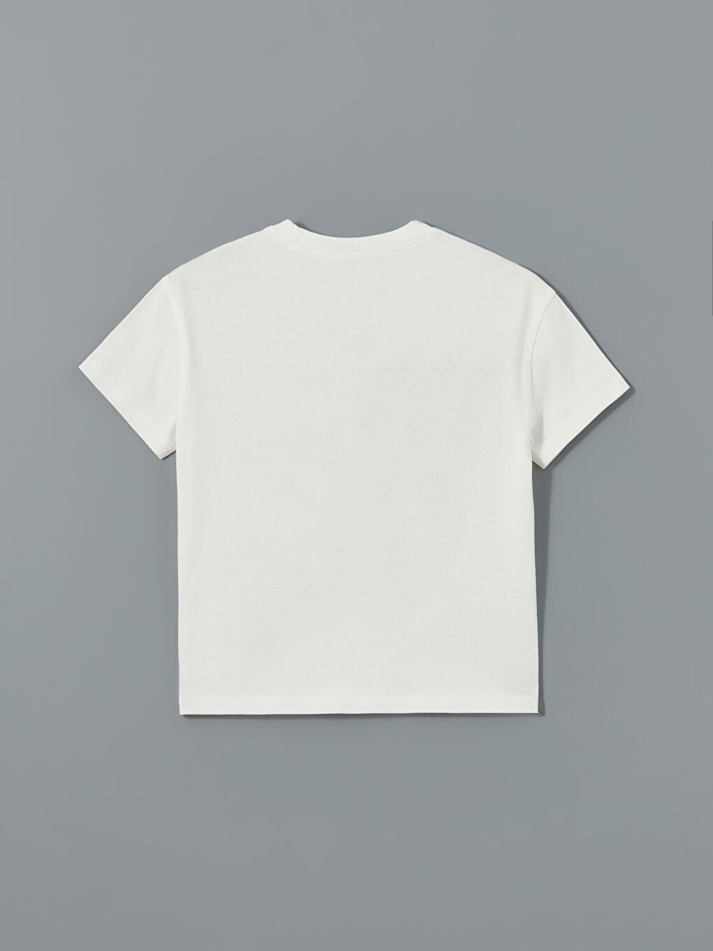 LCW Kids Ecru Crew Neck Printed Boys T-Shirt 2-Pack