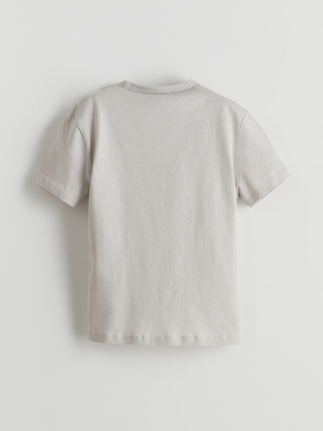 LCW Kids Crew Neck Printed Boy T-Shirt 2-Pack