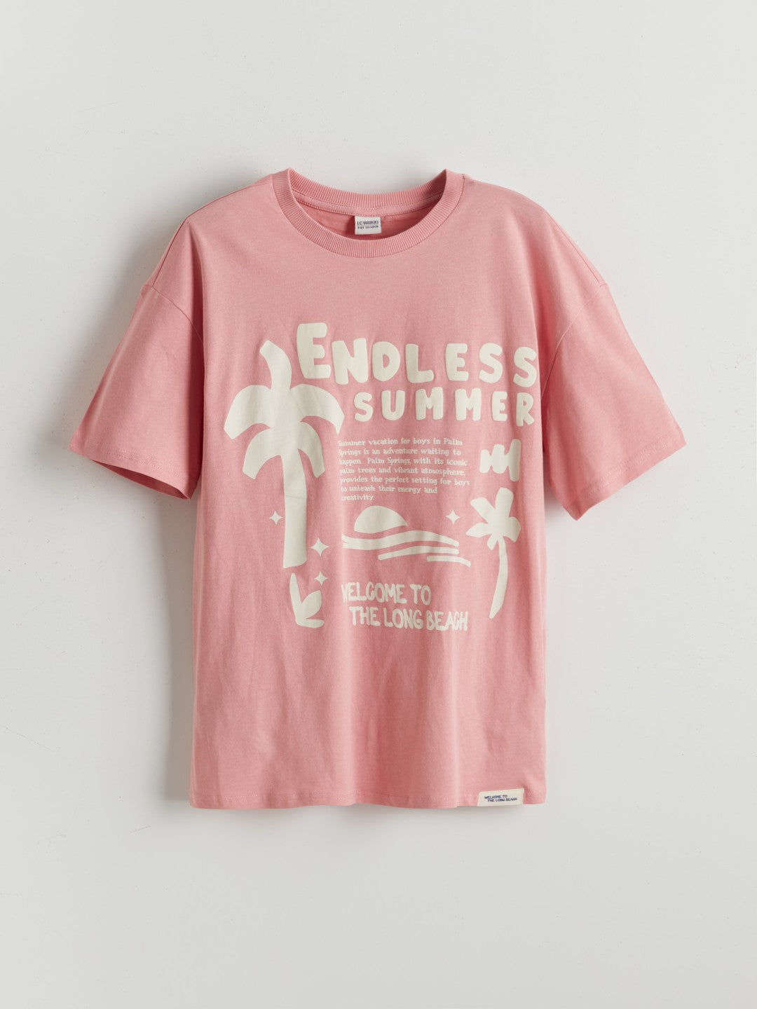 LCW Kids Crew Neck Boy T-Shirt