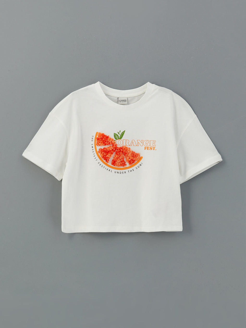 Crew Neck Girls T-Shirt and Shorts Skirt