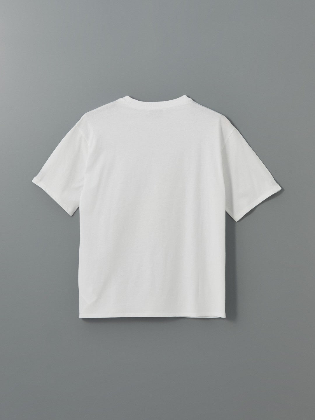 LCW Vision Crew Neck Sorrento Italy Printed Women T-Shirt