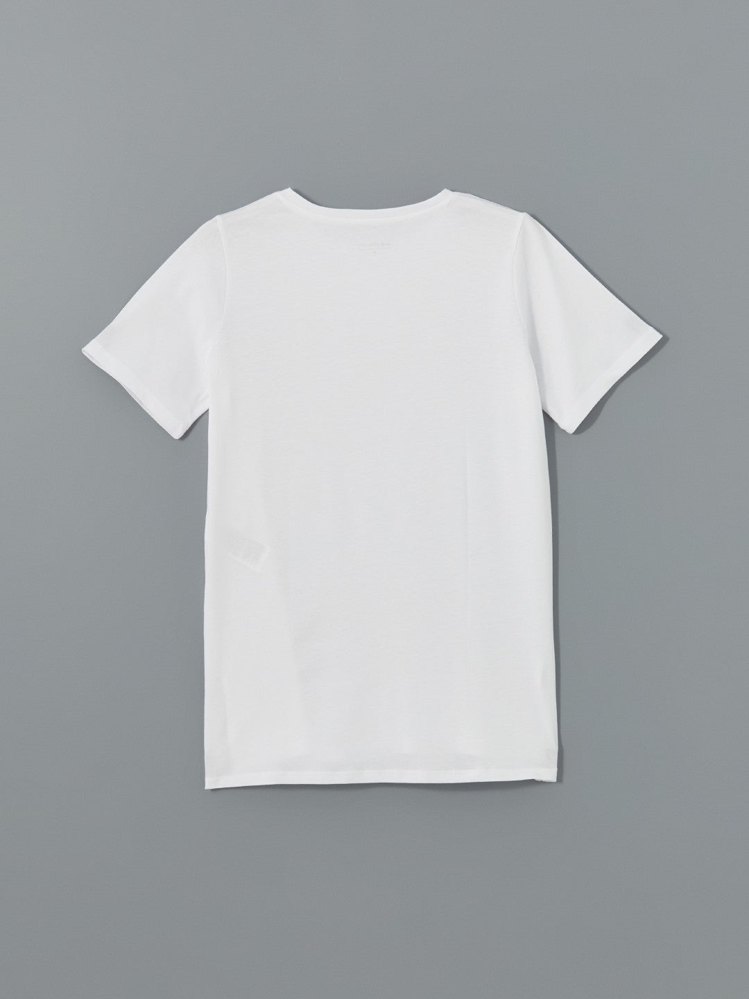 LCW Comfort Crew Neck Women T-Shirt