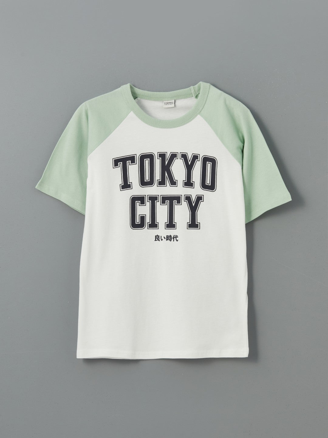 LCW Kids Crew Neck Printed BoyS T-Shirt