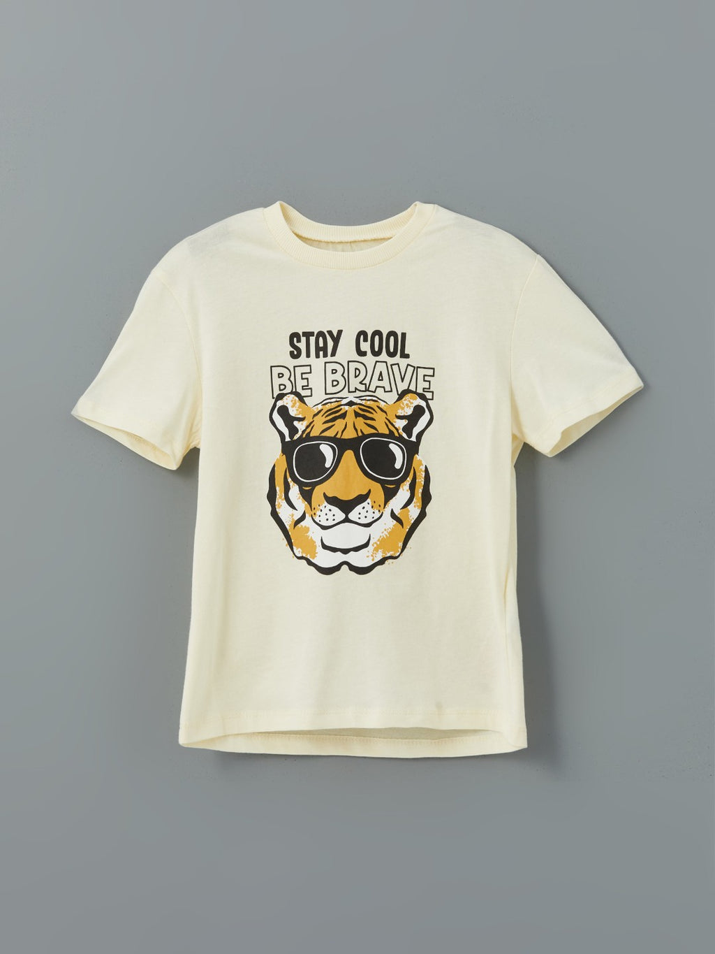 LCW Kids Crew Neck Printed Boy T-Shirt And Shorts 2-Pack