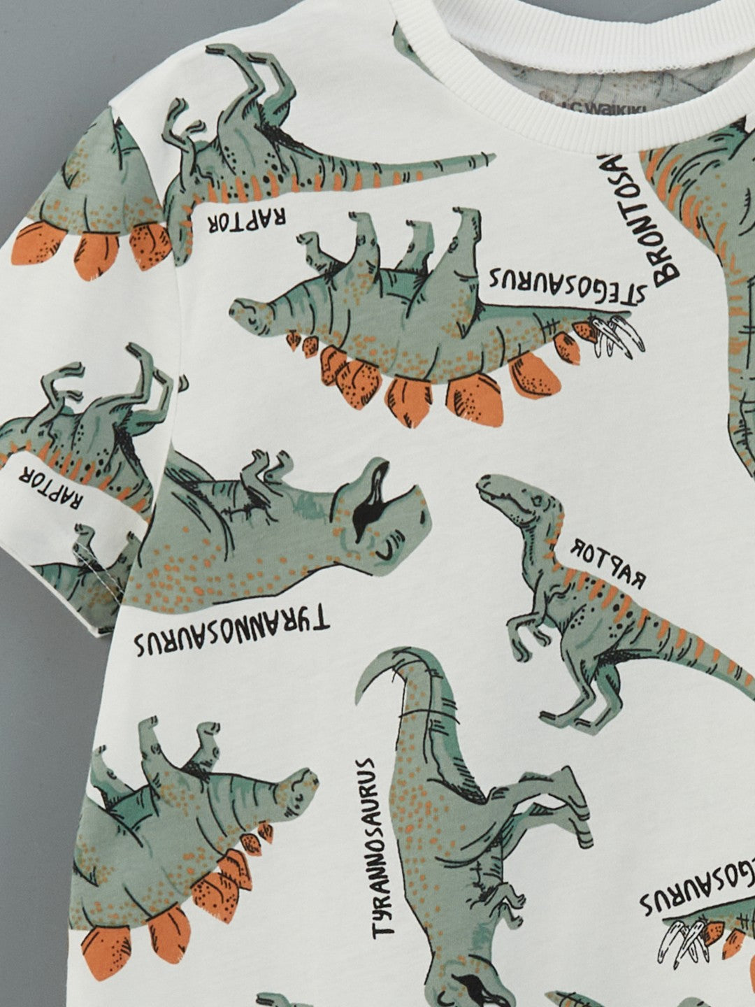 LCW Kids Crew Neck Boy T-Shirt And Shorts