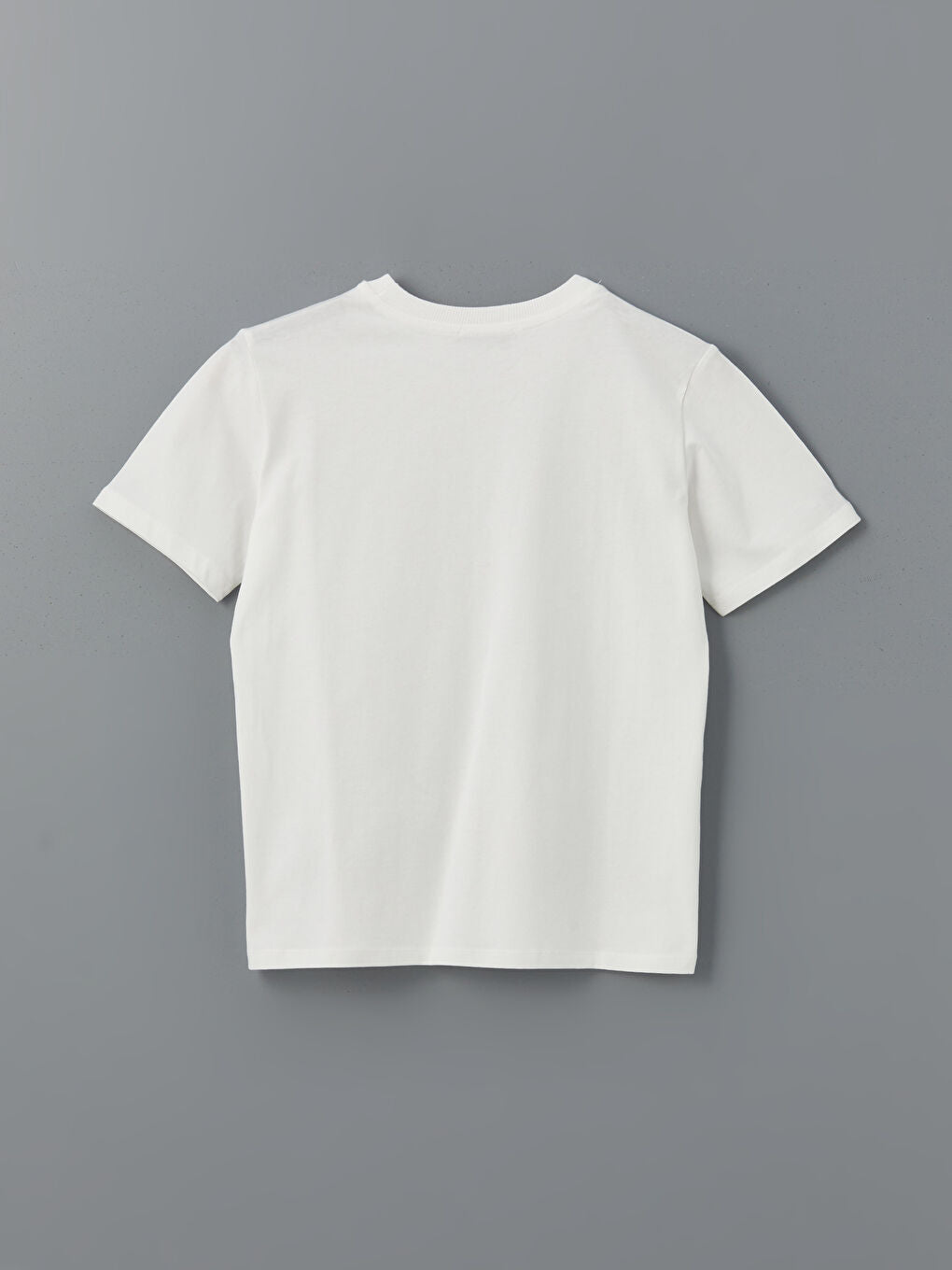 LCW Modest Ecru Crew Neck Embroidered Women T-Shirt