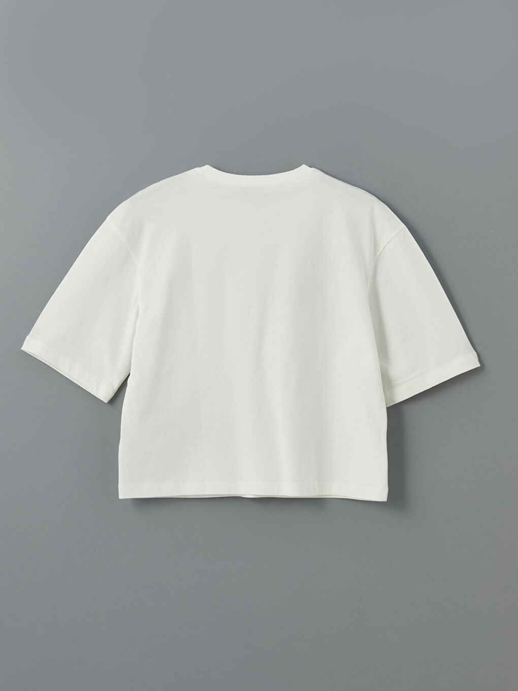 LCW Vision Ecru Crew Neck Embroidered Women T-Shirt