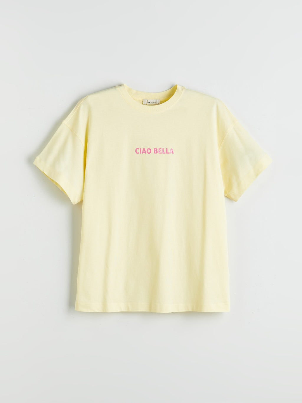 LCW Vision Sari Crew Neck Printed Oversize Women T-Shirt