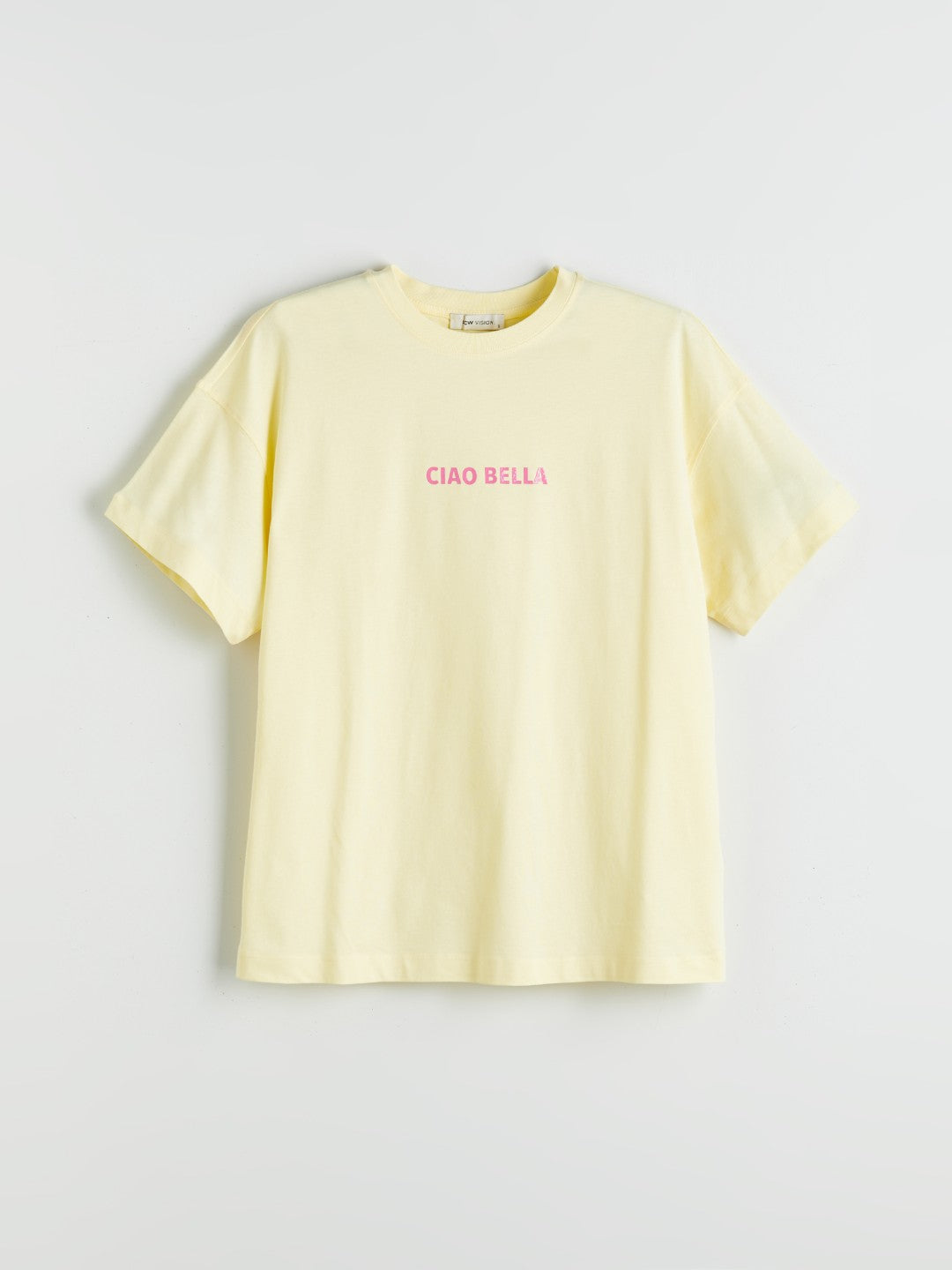 LCW Vision Sari Crew Neck Printed Oversize Women T-Shirt