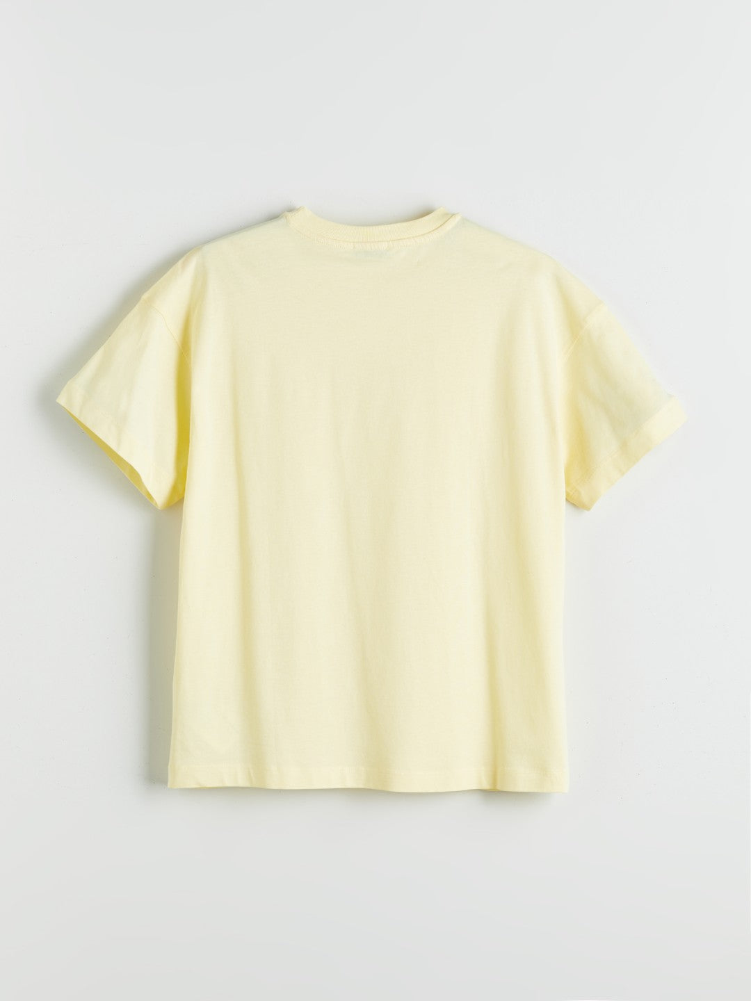 LCW Vision Sari Crew Neck Printed Oversize Women T-Shirt