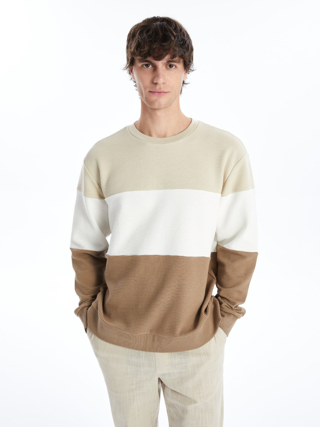 LCW Vision

Mink Crew Neck Long Sleeve Color Block Men's Sweatshirt