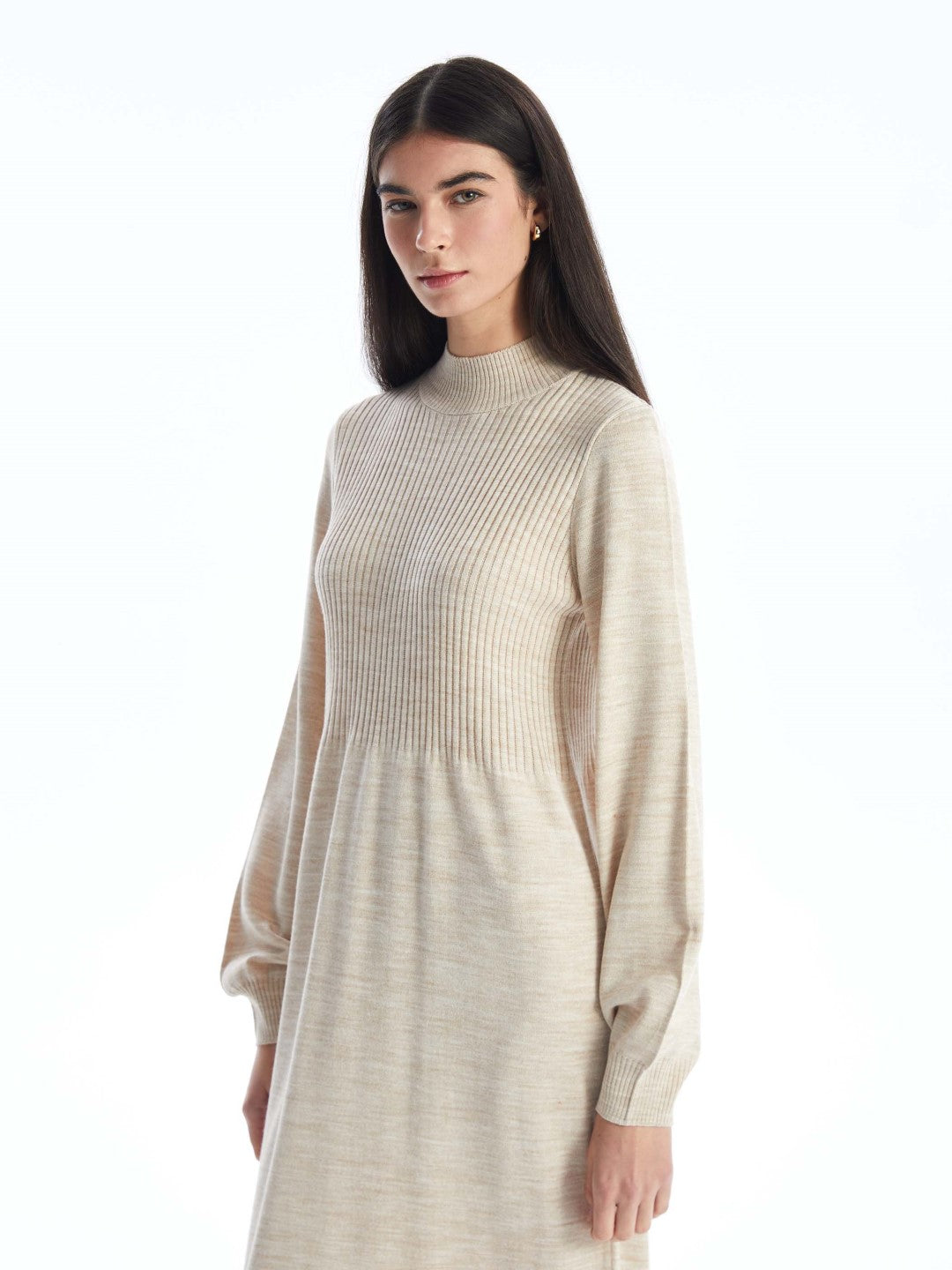 LCW Modest

Black Half Turtleneck Plain Long Sleeve Women's Knit Dress