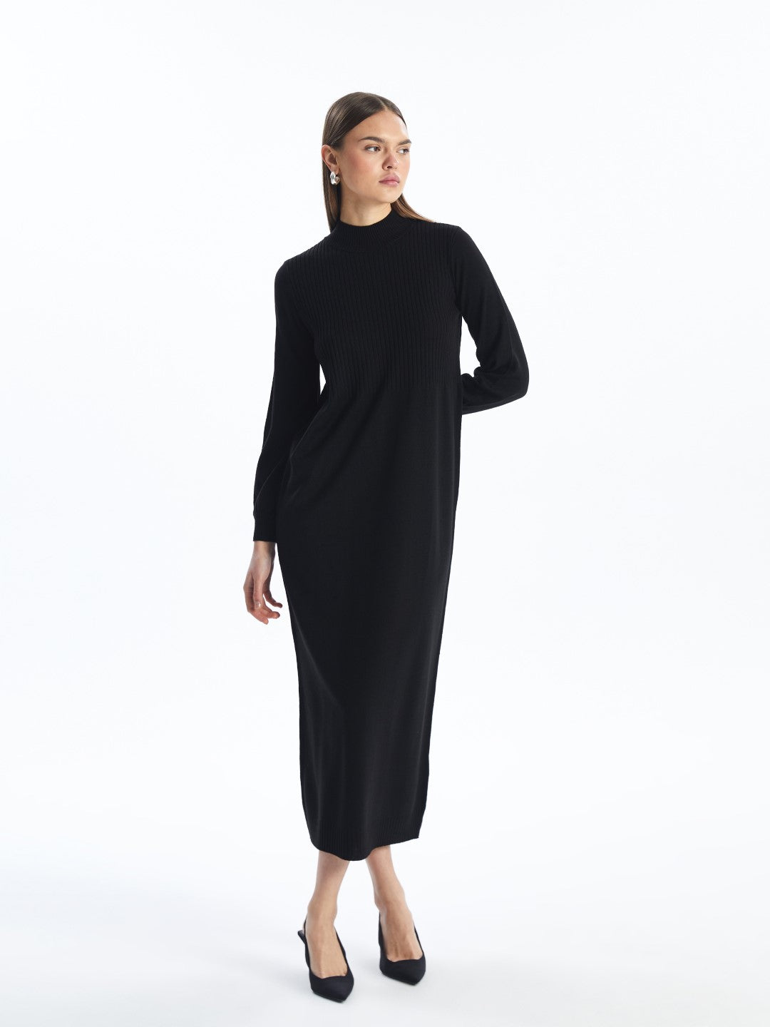 LCW Modest

Black Half Turtleneck Plain Long Sleeve Women's Knit Dress