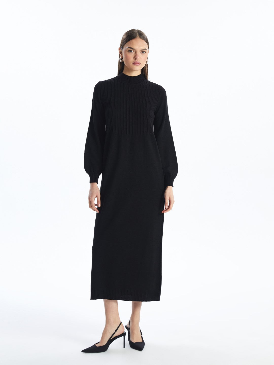 LCW Modest

Black Half Turtleneck Plain Long Sleeve Women's Knit Dress