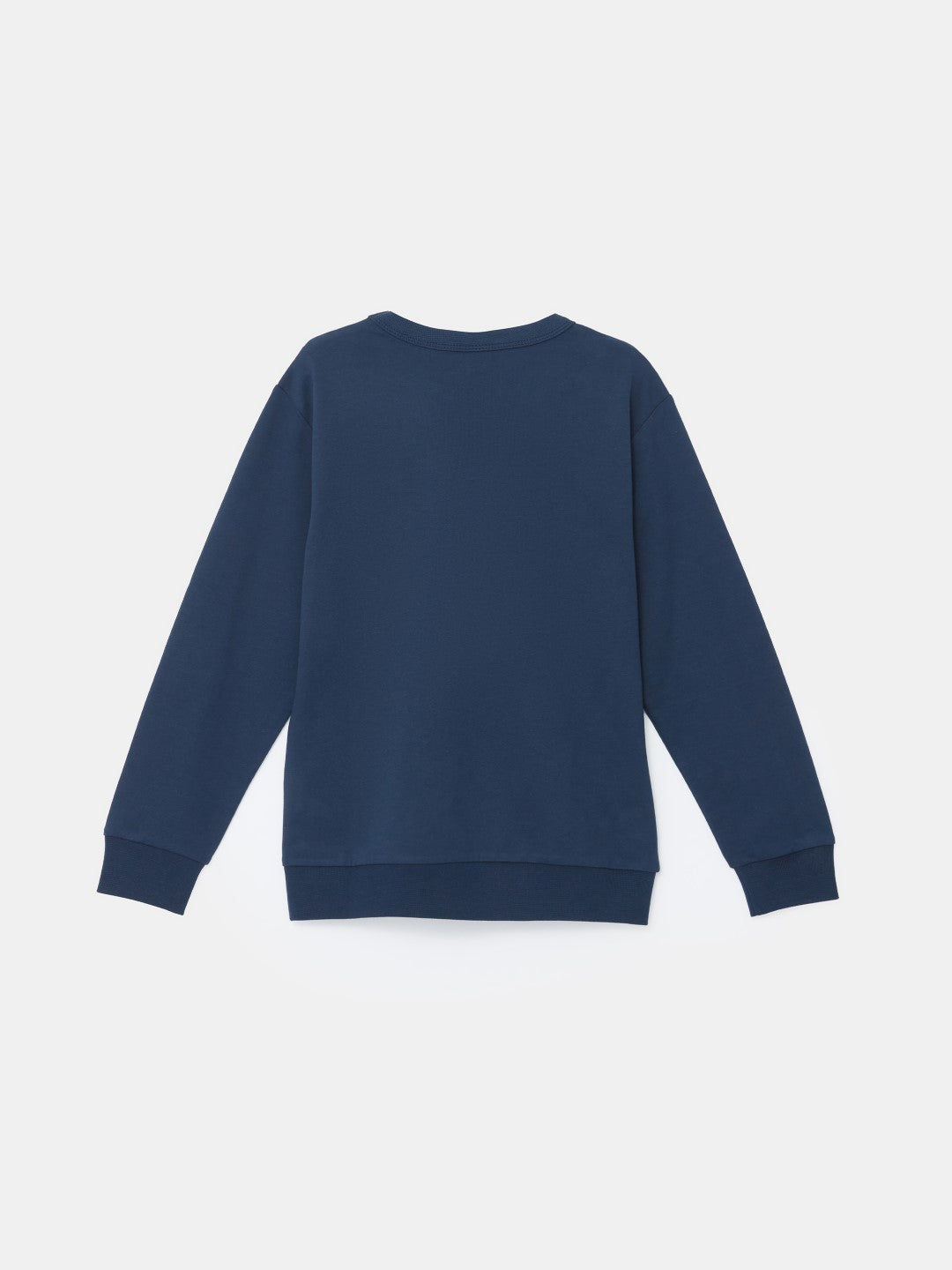 LCW Kids

Navy Blue Crew Neck Boy Sweatshirt 2-Pack