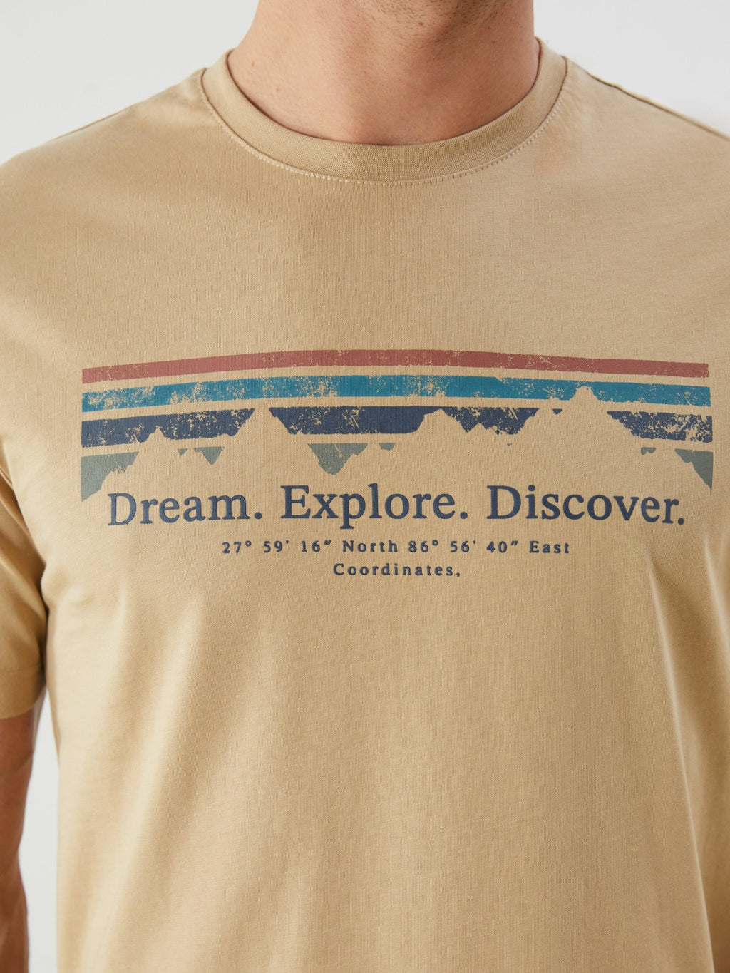 LCW Classic Crew Neck Printed Jersey Men T-Shirt