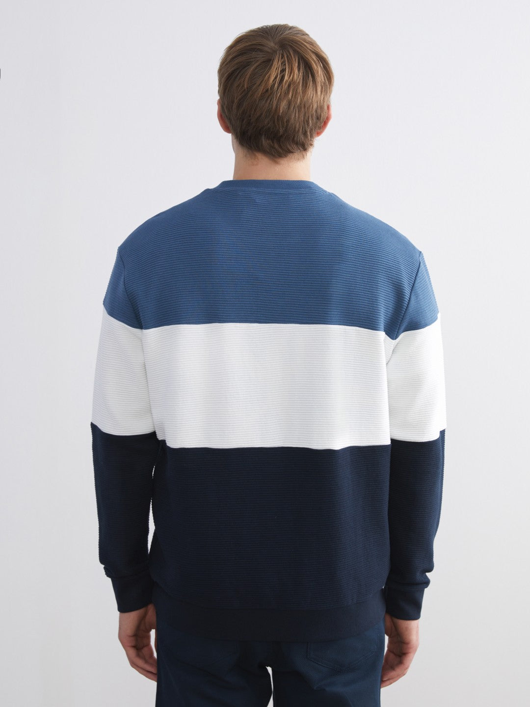 LCW Vision Crew Neck Color Block Men Sweatshirt