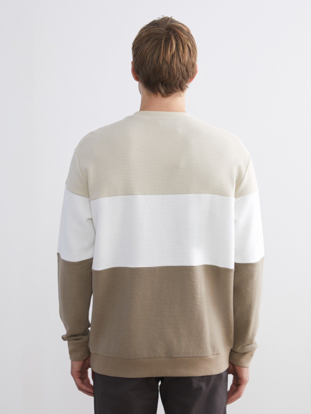 LCW Vision Crew Neck Color Block Men Sweatshirt