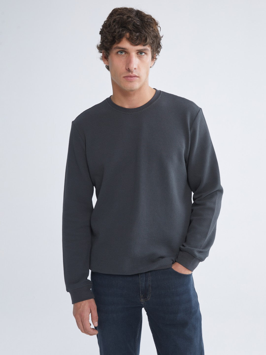 LCW Classic Crew Neck Long Sleeve Men Textured Sweatshirt