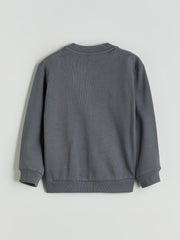 LCW Kids Gray Basic Boys Zippered Sweatshirt