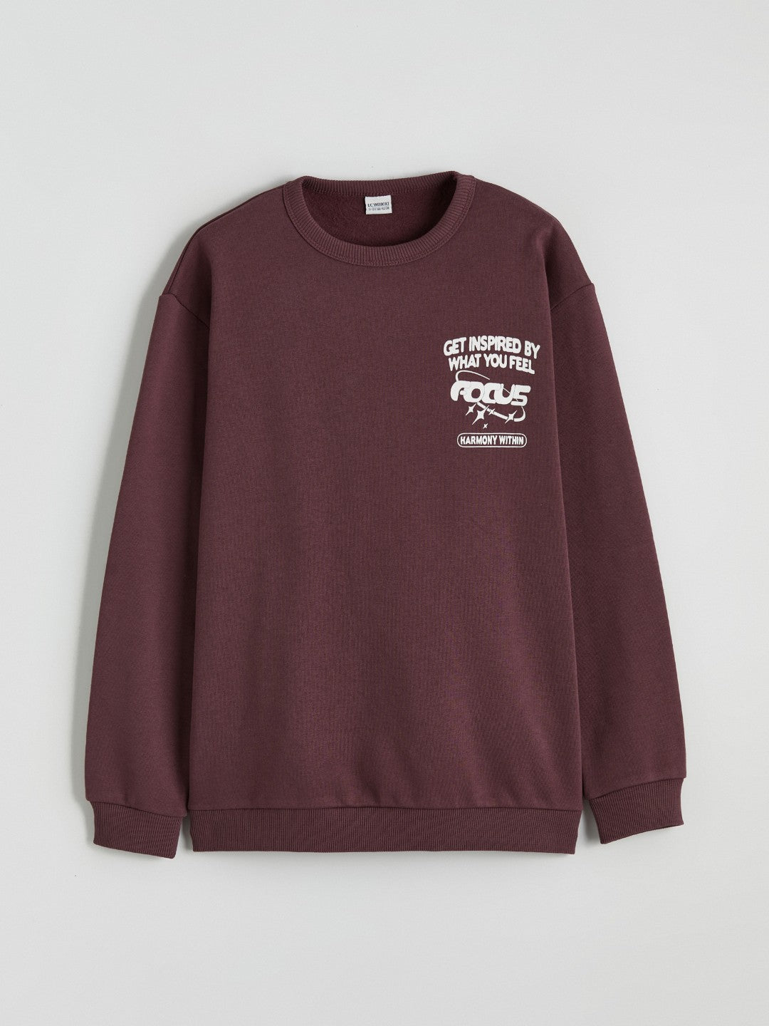 LCW Kids Printed Boys Thick Sweatshirt