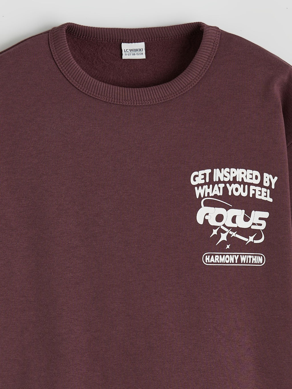 LCW Kids Printed Boys Thick Sweatshirt