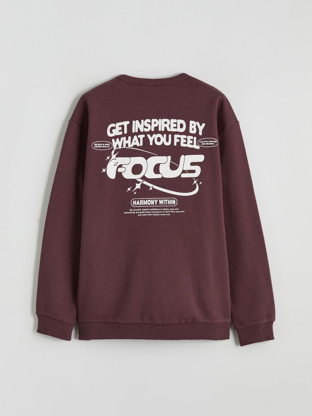 LCW Kids Printed Boys Thick Sweatshirt