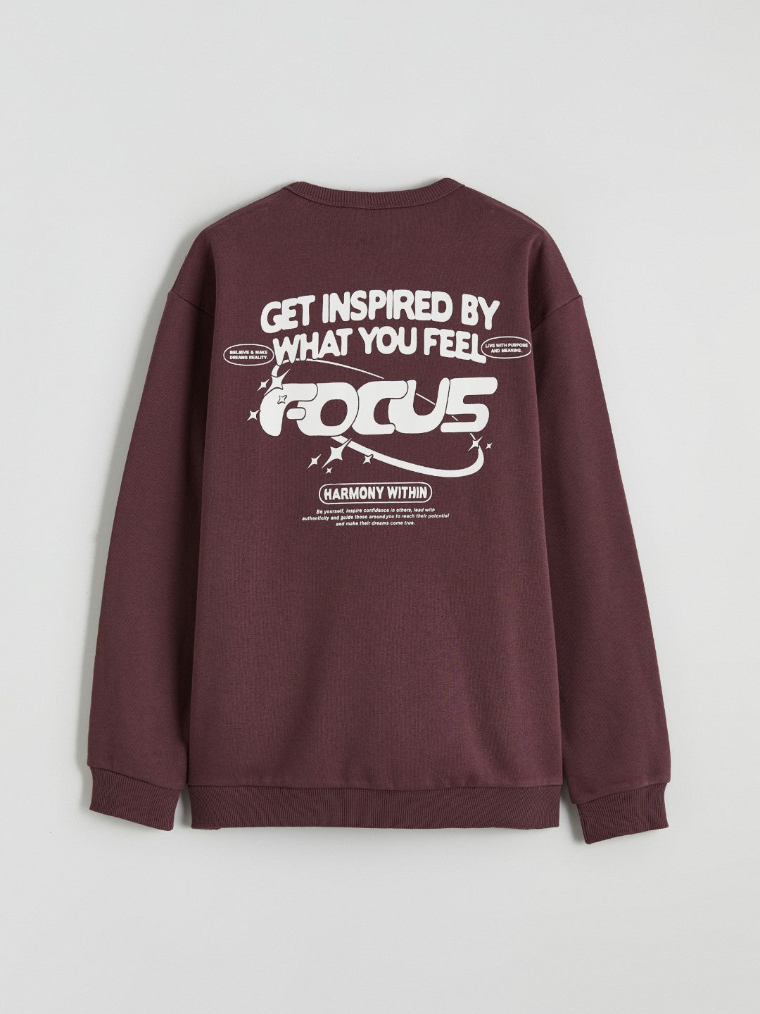 LCW Kids Printed Boys Thick Sweatshirt