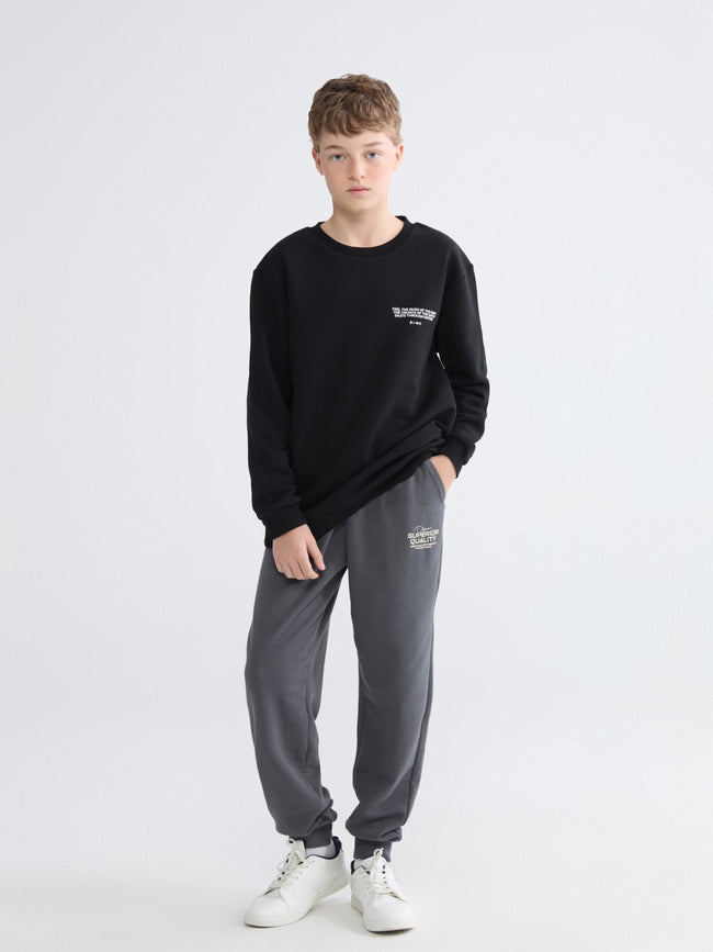 LCW Kids Crew Neck Printed Boys Thick Sweatshirt Main Image