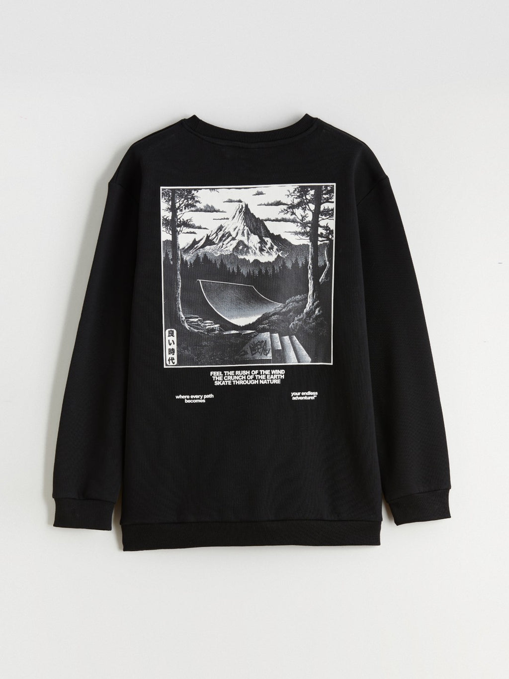 LCW Kids Crew Neck Printed Boys Thick Sweatshirt