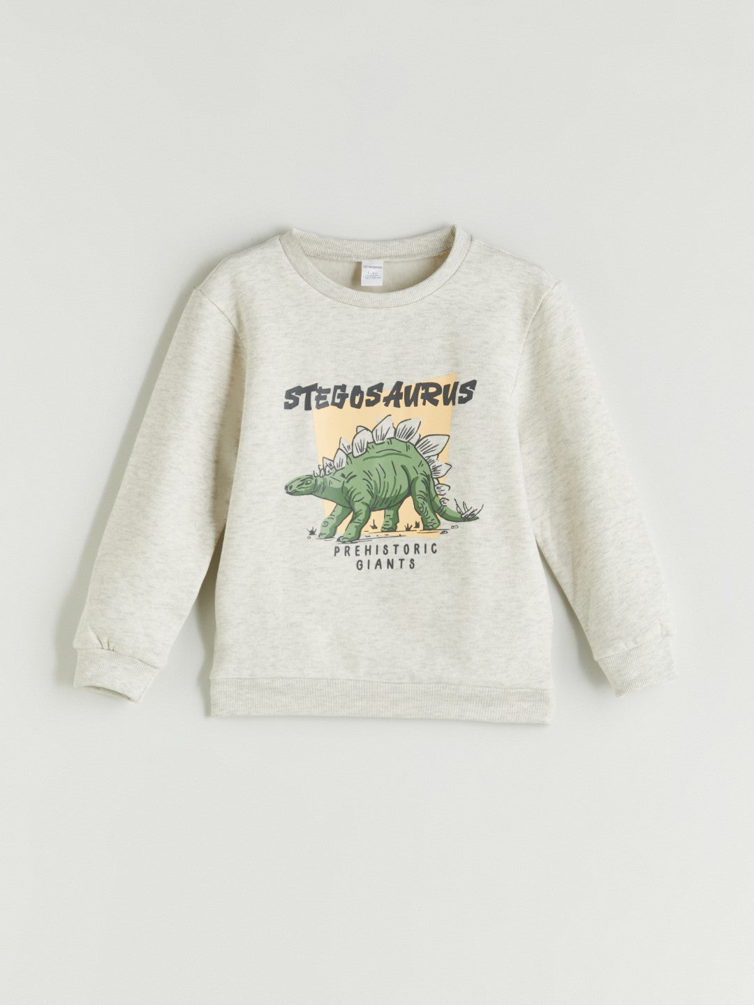 LCW Kids Crew Neck Printed Boys Thick Sweatshirt