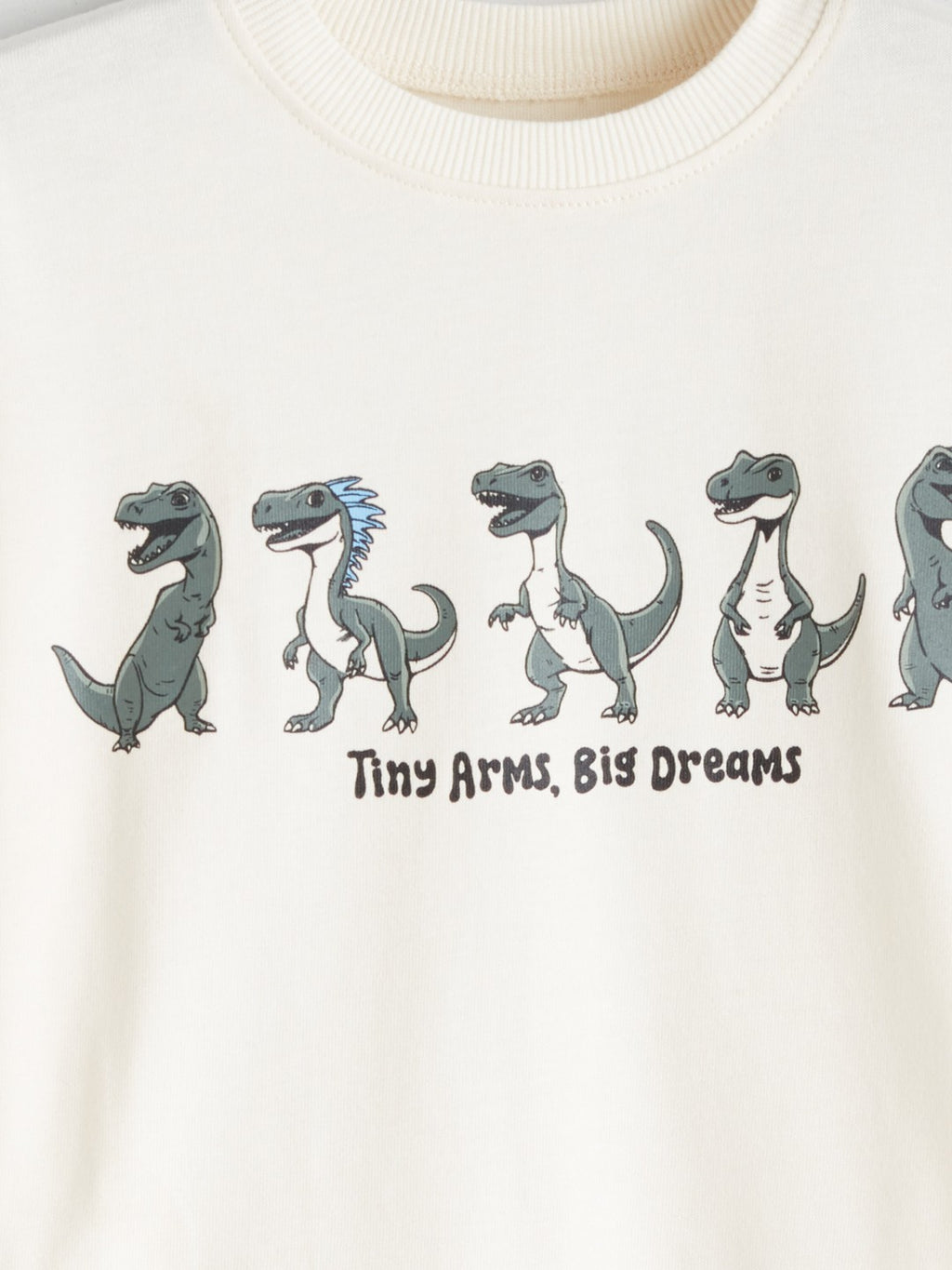 LCW Kids Crew Neck Dinosaur Printed Boys Sweatshirt