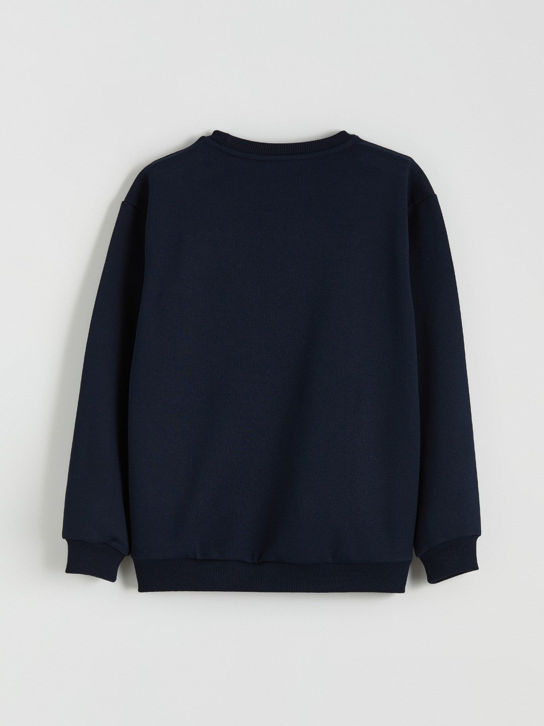 LCW Vision Crew Neck Bear Teddy Printed Boys Thick Sweatshirt