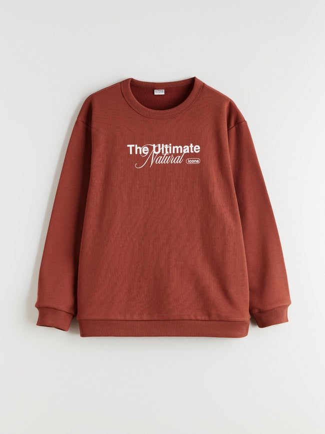 LCW Kids Crew Neck Boys Thick Sweatshirt Hover Image