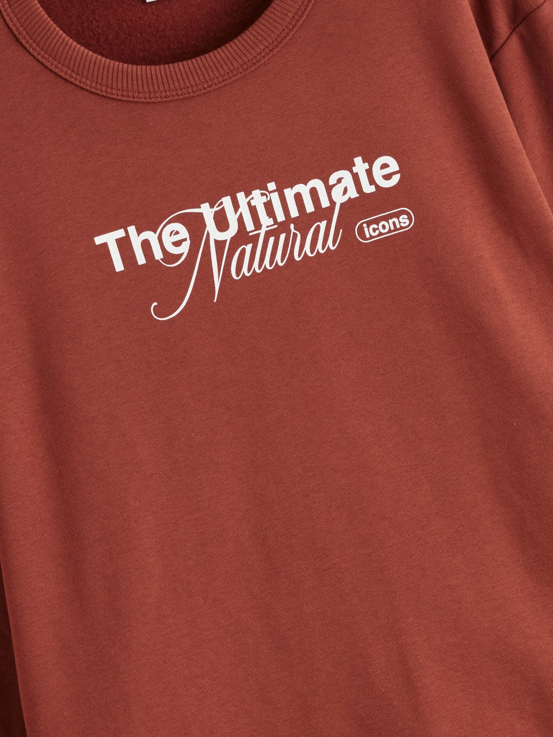 LCW Kids Crew Neck Boys Thick Sweatshirt