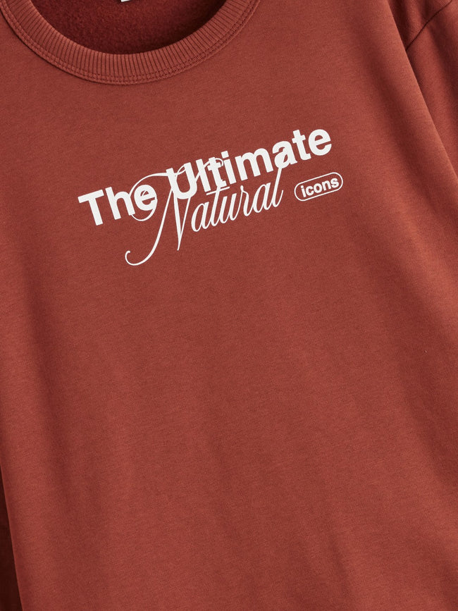 LCW Kids Crew Neck Boys Thick Sweatshirt Main Image