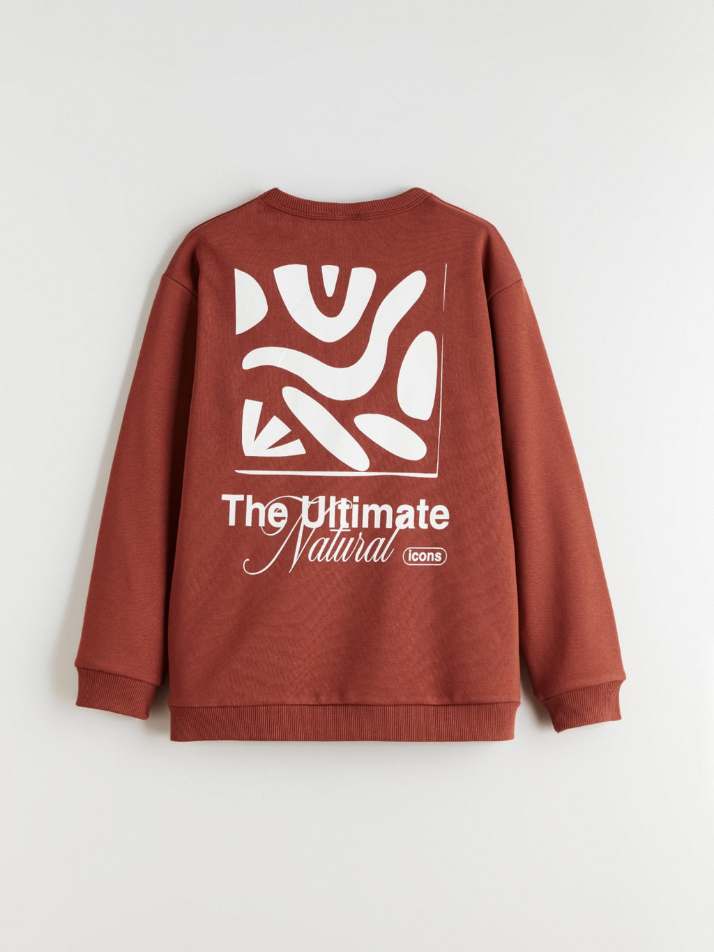 LCW Kids Crew Neck Boys Thick Sweatshirt