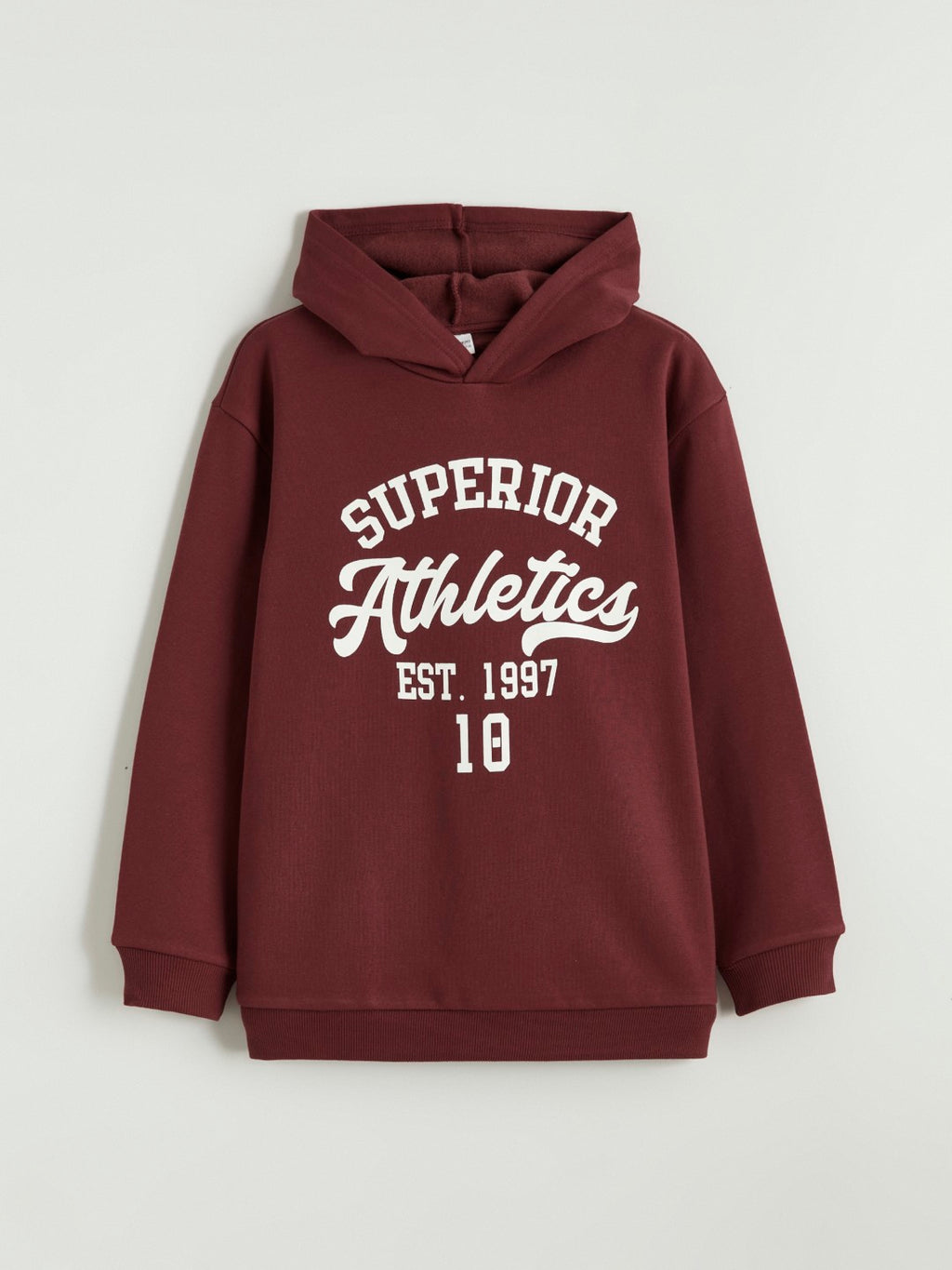 LCW Kids Hooded Boys Thick Sweatshirt