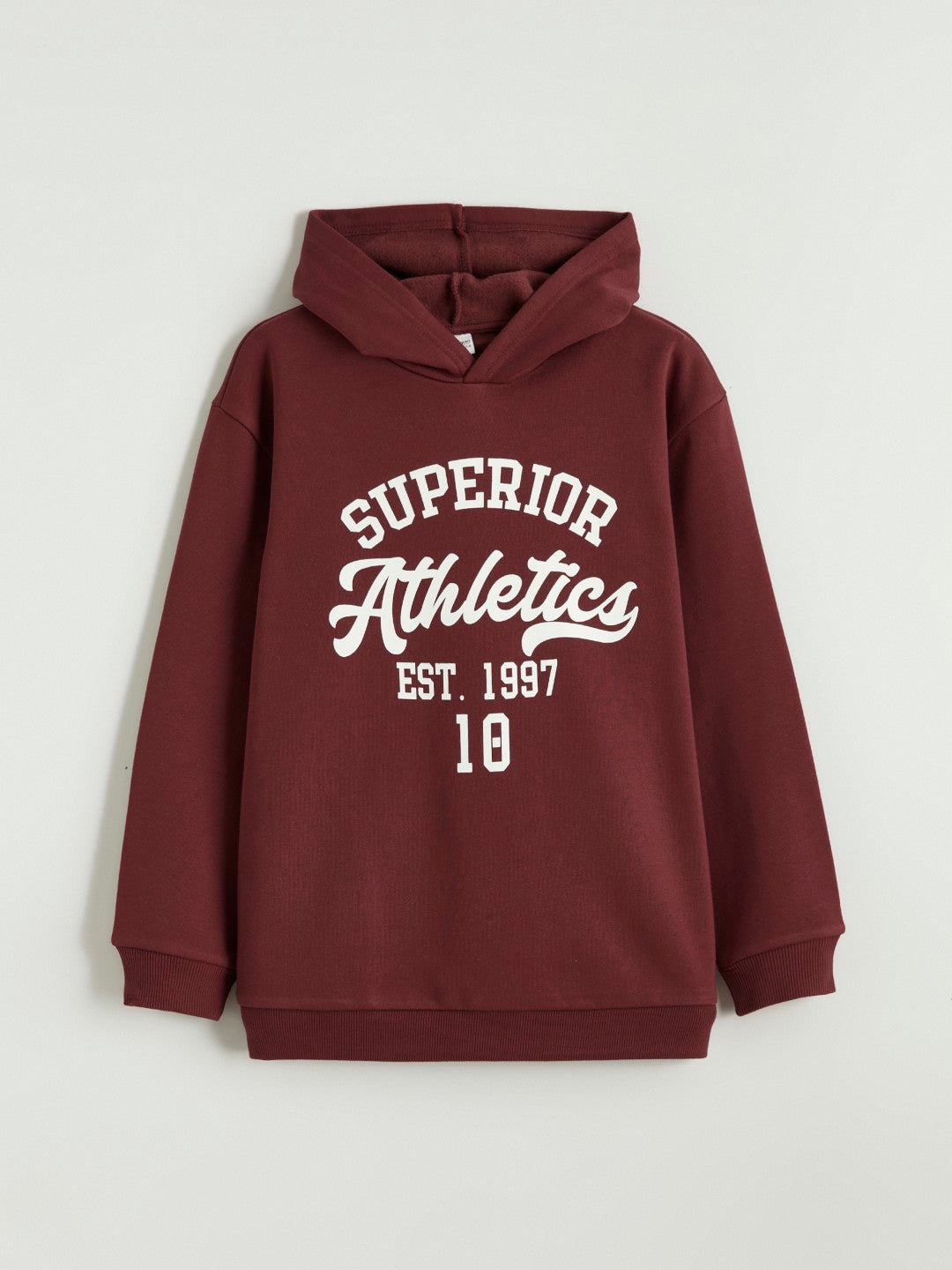 LCW Kids Hooded Boys Thick Sweatshirt